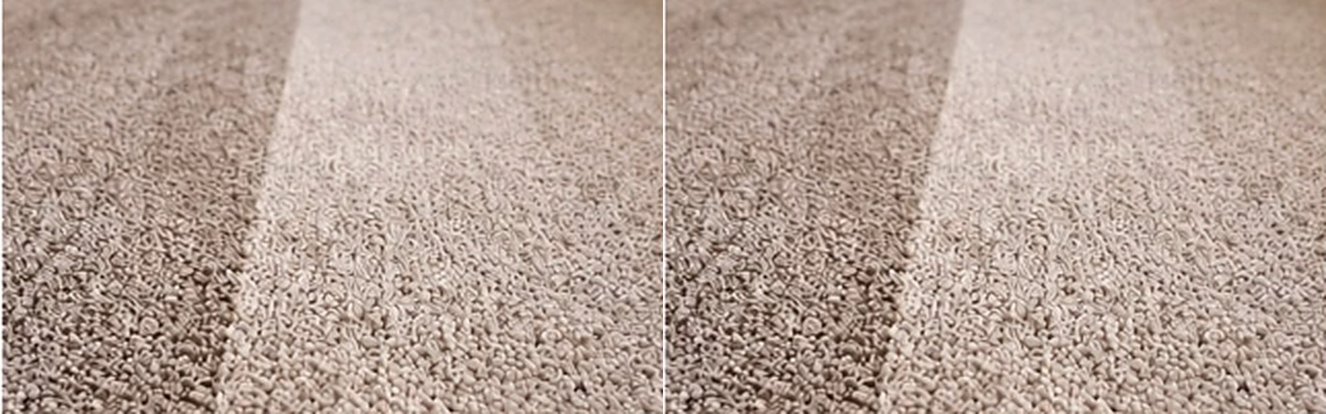 After — Carpet Cleaning